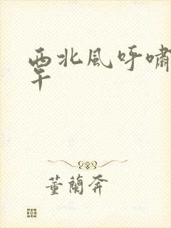 西北风呼啸的中午