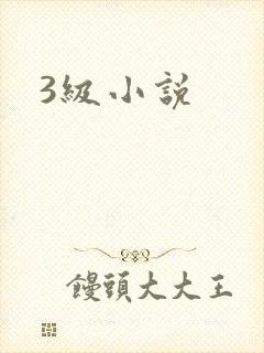3级小说
