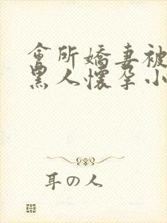 会所娇妻被多个黑人怀孕小说封面