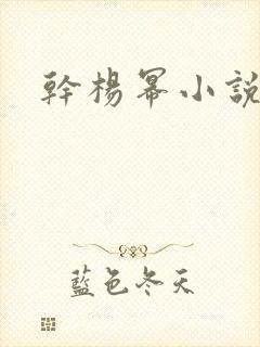 干杨幂小说封面