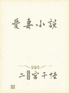 爱妻小说