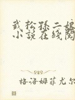 武松孙二娘云雨小说在线阅读封面