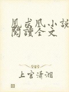 凤求凰小说免费阅读全文