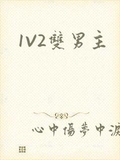 1V2双男主