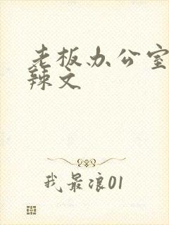 老板办公室系列辣文封面