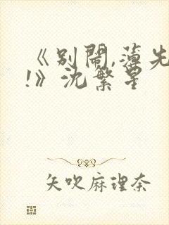 《别闹,薄先生!》沈繁星封面