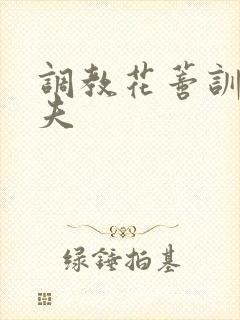 调教花蒂训诫从夫