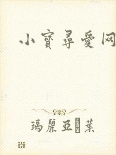 小宝寻爱网