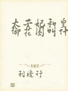 太子妃和皇帝在御花园叫什么小说