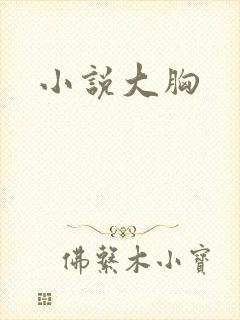 小说大胸
