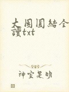 大团圆结全文阅读txt