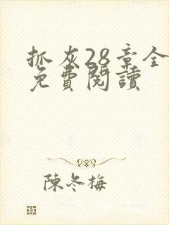 抓灰28章全部免费阅读封面