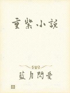 重紫小说