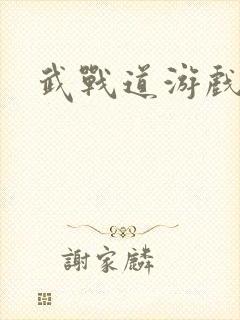 武战道游戏