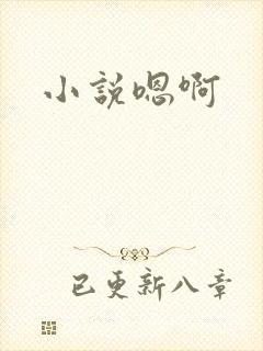 小说嗯啊