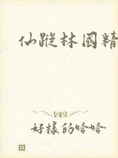 仙踪林国精产品封面