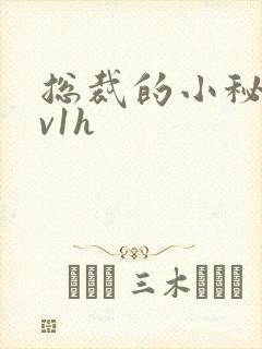总裁的小秘书1v1h