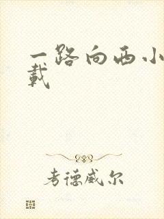一路向西小说下载