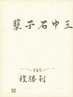 孽子石中玉封面