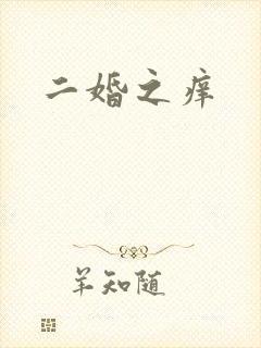二婚之痒