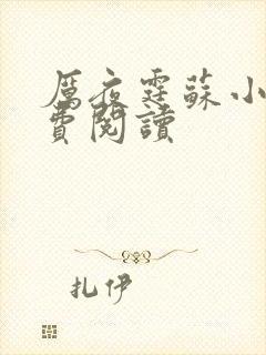 厉夜霆苏小汐免费阅读封面