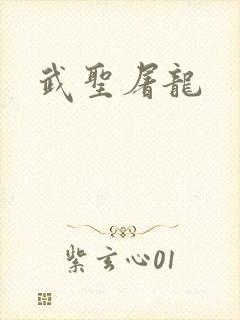 武圣屠龙