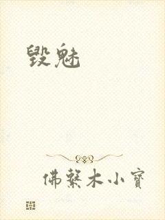 毁魅