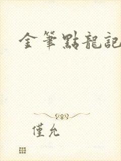 金笔点龙记封面