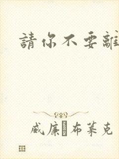 请你不要离开我
