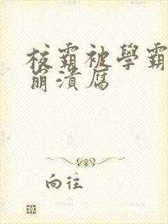 校霸被学霸玩到崩溃腐封面