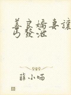 善良娇妻让老乞丐发泄封面