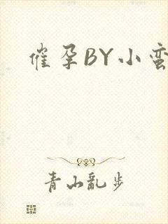 催孕BY小蛮腰