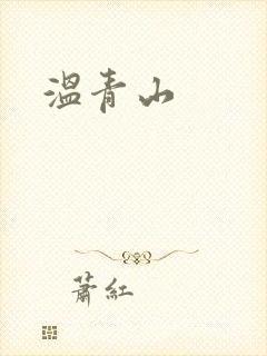 温青山封面
