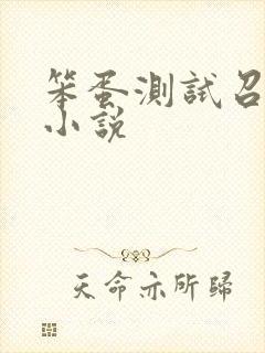 笨蛋测试召唤兽小说