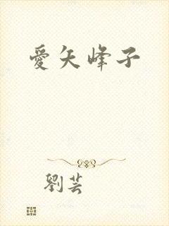 爱矢峰子封面