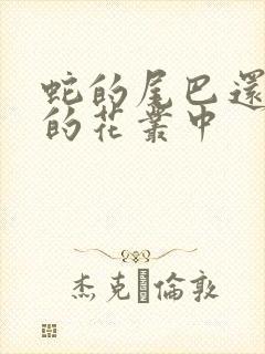 蛇的尾巴还在我的花丛中