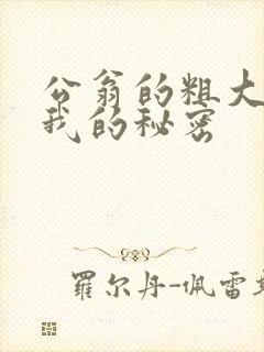 公翁的粗大放进我的秘密