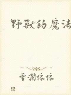 野兽的魔法师