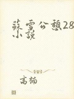 苏雪公憩28篇小说