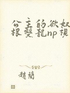 公主的欲奴h四根双龙np视频