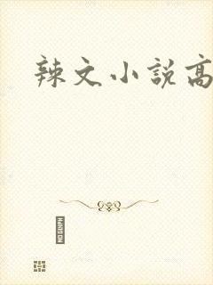 辣文小说高h