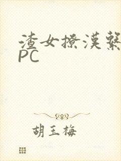 渣女撩汉系统NPC封面