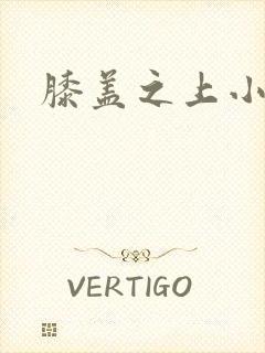 膝盖之上小说
