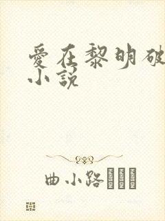 爱在黎明破晓前小说