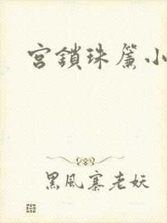 宫锁珠帘小说