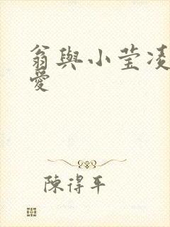 翁与小莹凌晨欢爱封面