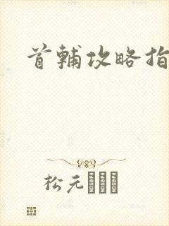 首辅攻略指南