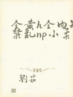 全黄h全肉短篇禁乱np小柔