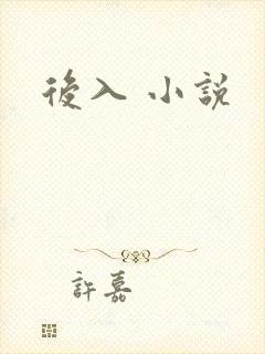 后入 小说封面