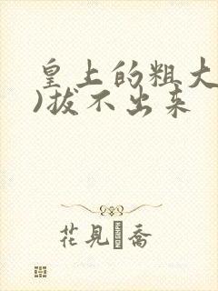 皇上的粗大(h)拔不出来封面